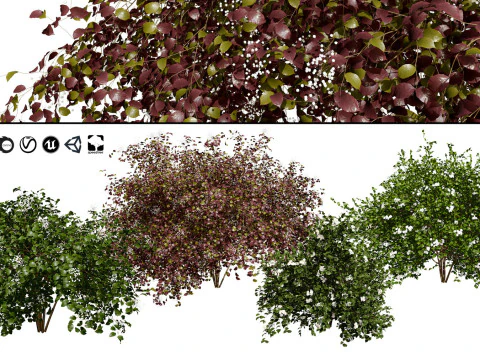 High-Poly Flowering Plants 3D Collection 01 3D Model