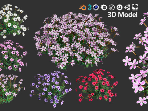 High-Poly Flowering Plants 3D Collection 01 Model 3D