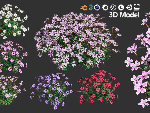 High-Poly Flowering Plants 3D Collection 01 3D Model