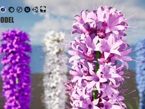 High-Poly Flowering Plants 3D Collection 01 3D Model