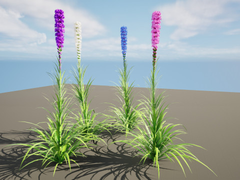 High-Poly Flowering Plants 3D Collection 01 Model 3D