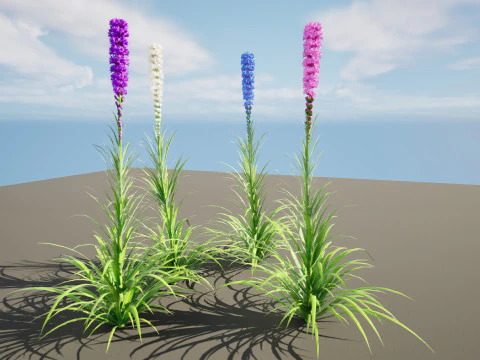 High-Poly Flowering Plants 3D Collection 01 3D Model