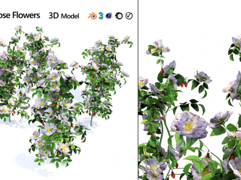 High-Poly Flowering Plants 3D Collection 01 3D Model
