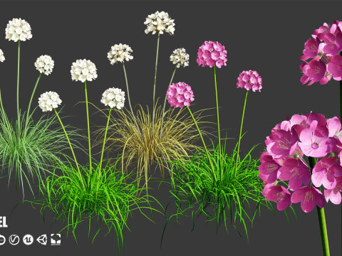 High-Poly Flowering Plants 3D Collection 01 3D Model
