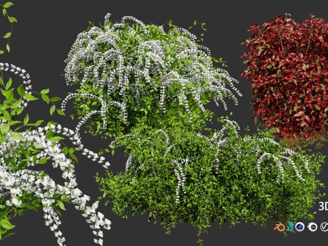 High-Poly Flowering Plants 3D Collection 01 Model 3D