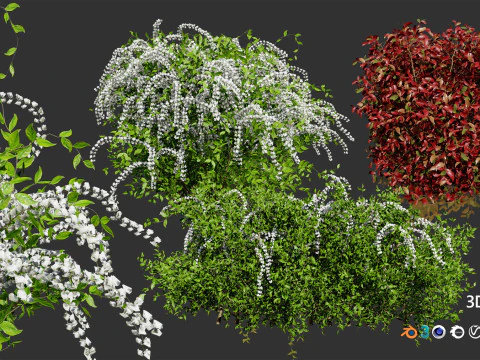 High-Poly Flowering Plants 3D Collection 01 3D Model