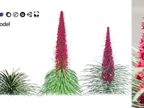 High-Poly Flowering Plants 3D Collection 01 3D Model
