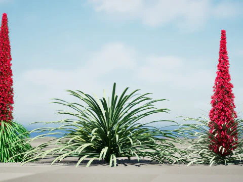 High-Poly Flowering Plants 3D Collection 01 3D Model
