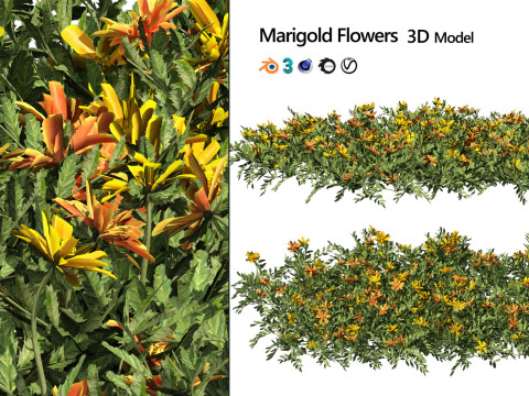 High-Poly Flowering Plants 3D Collection 01 Model 3D