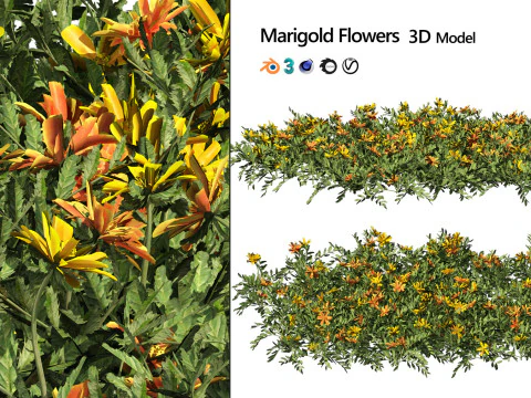 High-Poly Flowering Plants 3D Collection 01 3D Model