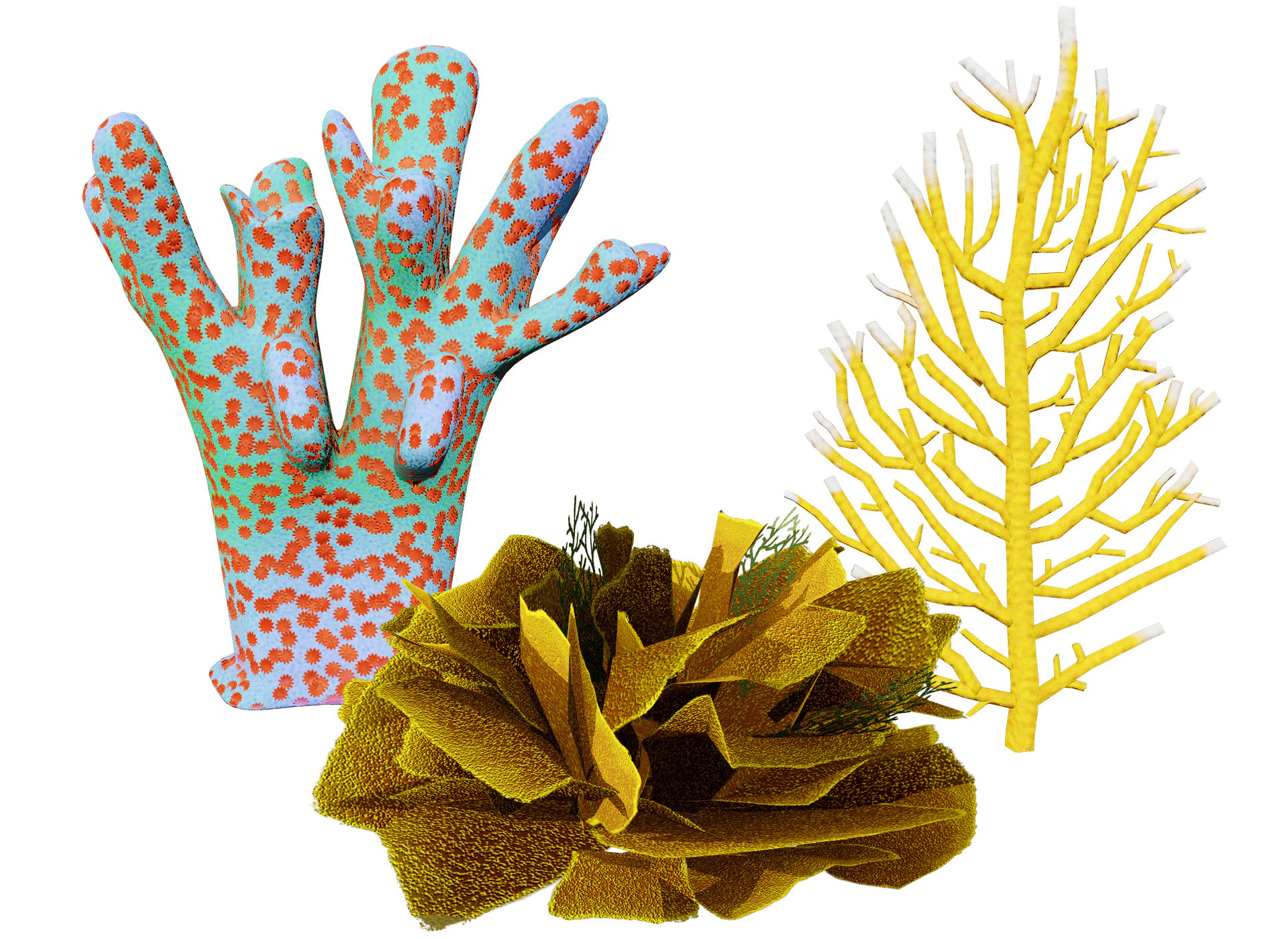 Underwater Coral and Plant Pack - s 3D Model .c4d .max .obj .3ds .fbx .stl .blend