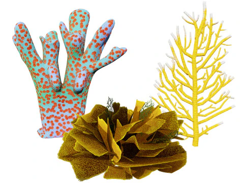 Sualtı Mercan ve Bitki Paketi - ler 3D Model