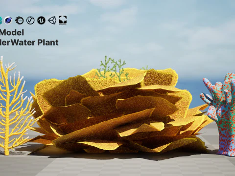 Underwater Coral and Plant Pack - s 3D Model