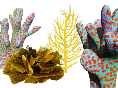 Underwater Coral and Plant Pack - s 3D Model