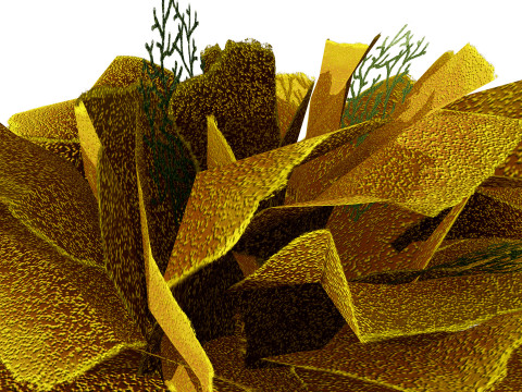 Underwater Coral and Plant Pack - s 3Dモデル