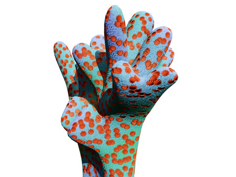 Underwater Coral and Plant Pack - s 3Dモデル