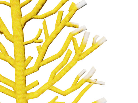 Underwater Coral and Plant Pack - s 3Dモデル