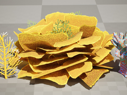 Underwater Coral and Plant Pack - s 3Dモデル