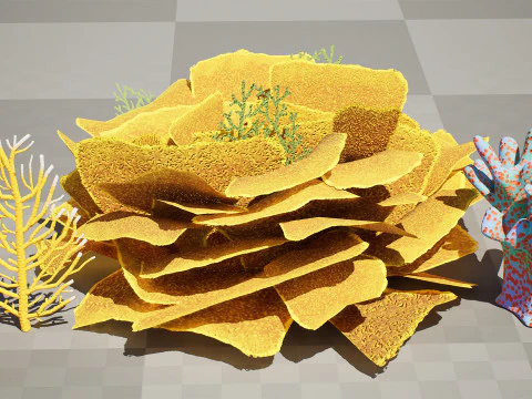 Underwater Coral and Plant Pack - s 3D Model