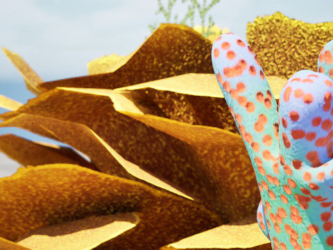 Underwater Coral and Plant Pack - s 3Dモデル