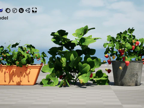3D Strawberry Plant Collection 3D Model