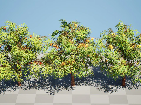 リアルなカカオの木 3Dモデル