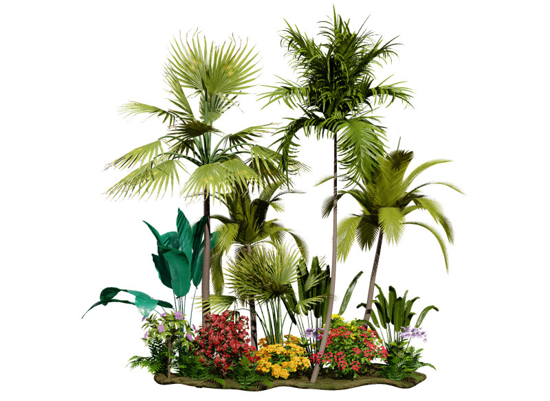 Tropical Island Plant Collection Model 3D .c4d .max .obj .3ds .fbx .stl .blend