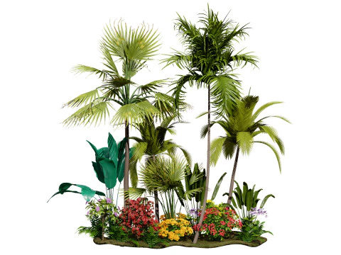Collection de plantes des &icirc;les tropicales Modèle 3D