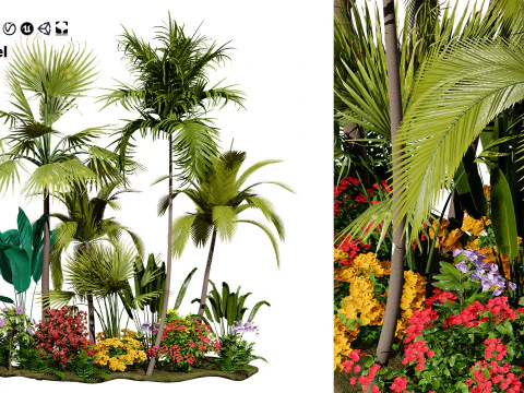Tropical Island Plant Collection 3D Model