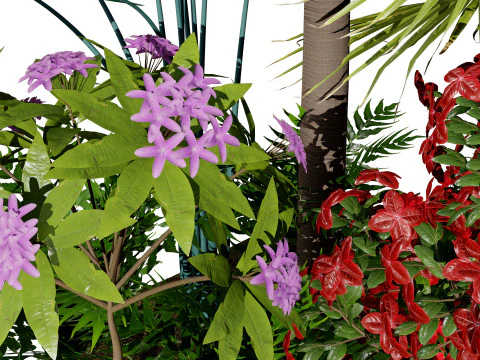 Tropical Island Plant Collection 3D Model