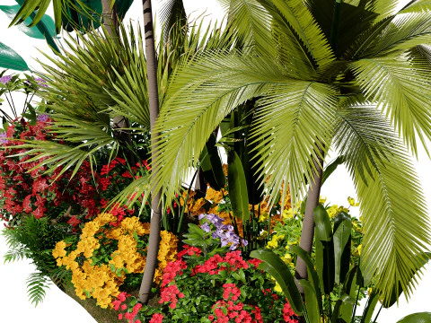 Tropical Island Plant Collection 3D Model