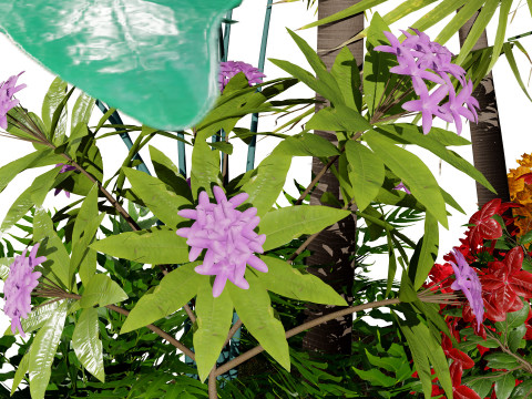Tropical Island Plant Collection Model 3D