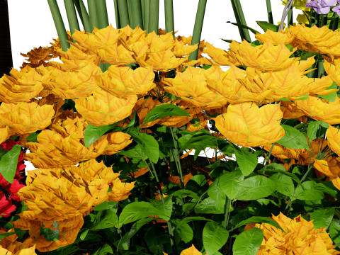 Tropical Island Plant Collection Model 3D