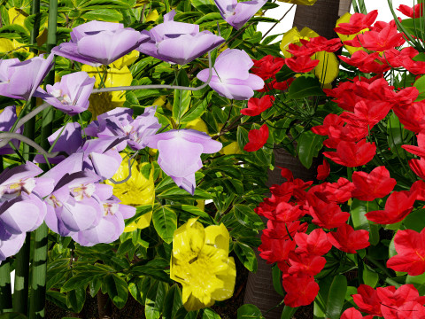 Tropical Island Plant Collection Model 3D