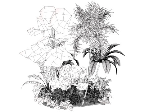 Tropical Island Plant Collection Model 3D