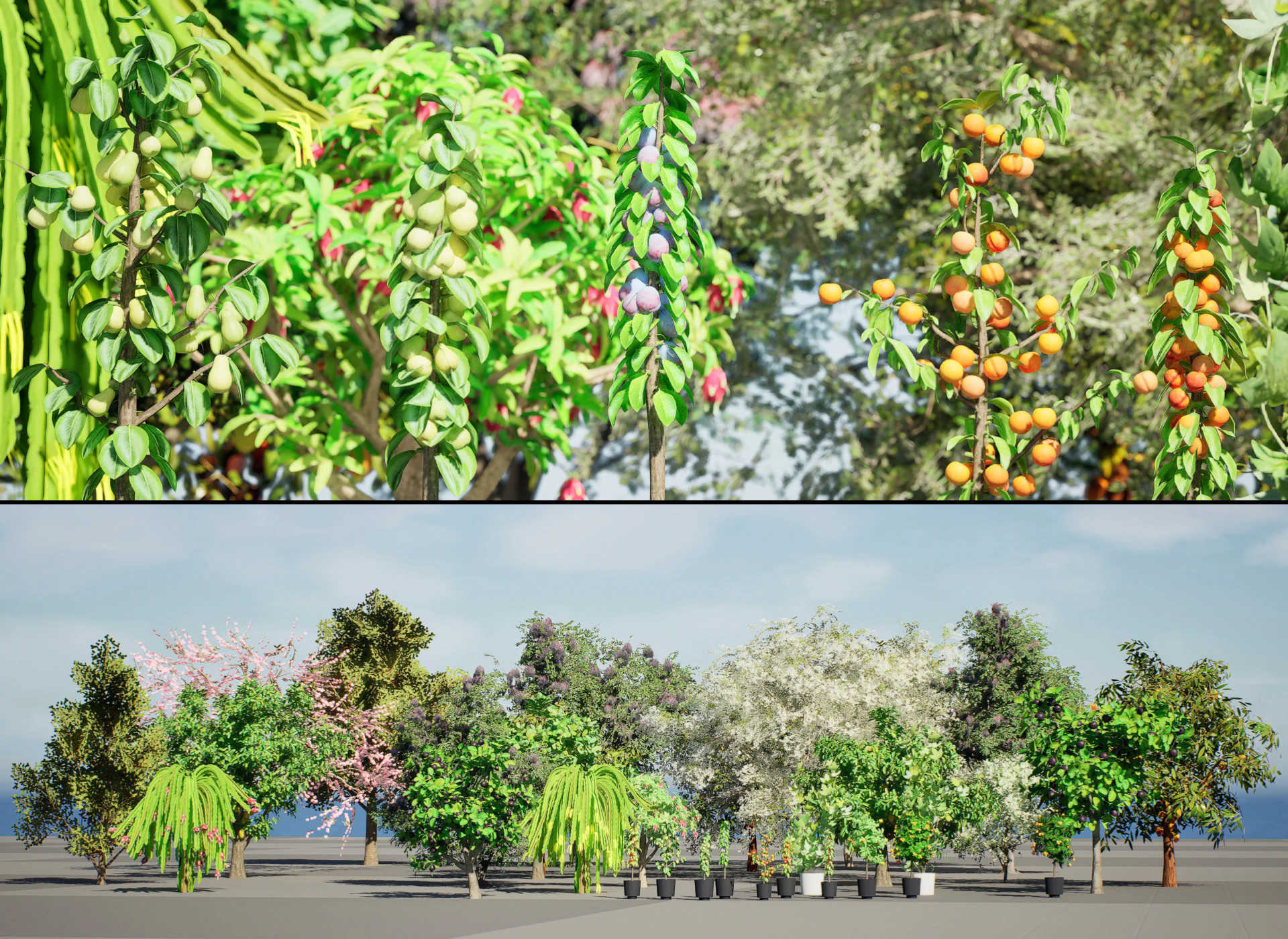 低聚果树包 01 3D 模型 .c4d .max .obj .3ds .fbx .stl .blend 