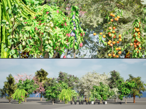 Low Poly Fruit Tree Pack 01 3D मॉडल