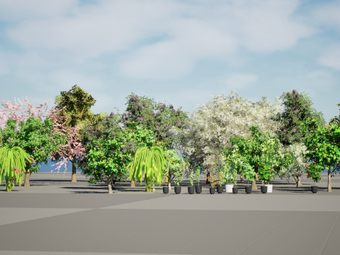 Low Poly Fruit Tree Pack 01 3D-Modell