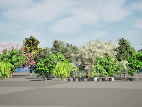 低聚果树包 01 3D 模型