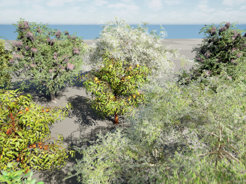 Low Poly Fruit Tree Pack 01 3D-Modell