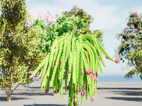 Low Poly Fruit Tree Pack 01 3D-Modell