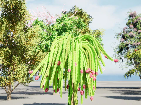 低聚果树包 01 3D 模型