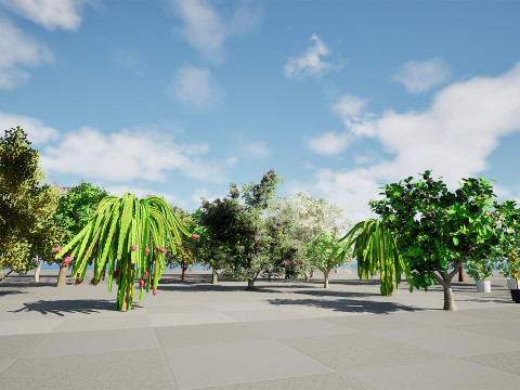 Low Poly Fruit Tree Pack 01 3D-Modell