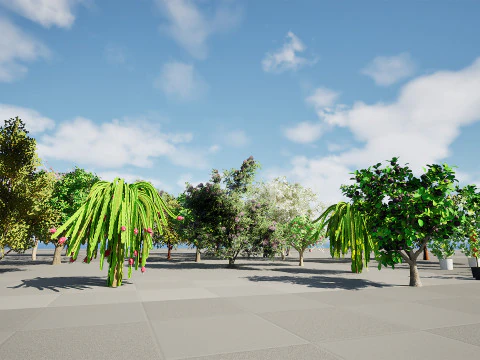 低聚果树包 01 3D 模型