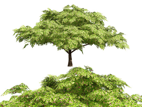 Rain Tree 3D 모델