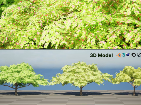 Rain Tree 3D Model
