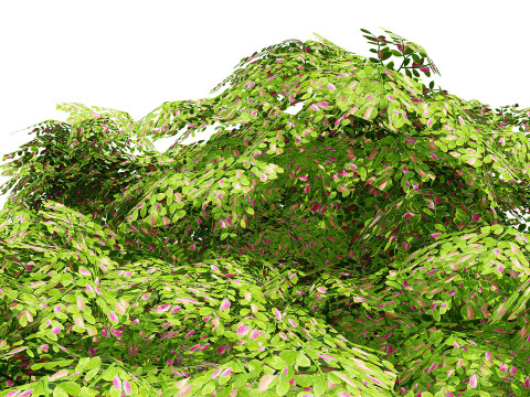 Rain Tree 3D Model