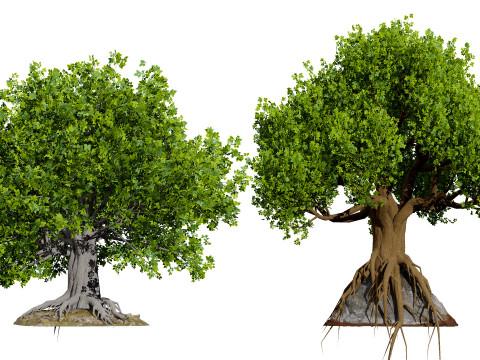 Stylized World Tree s 3D Model