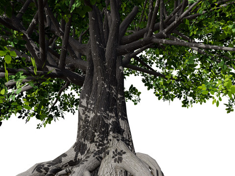Stylized World Tree s 3D Model