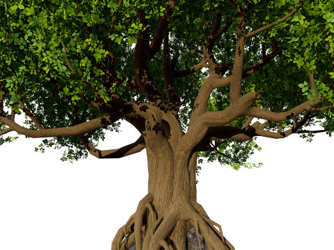 Stylized World Tree s 3D Model